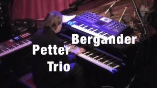 Petter Bergander Trio  Jazzfestival Karlsruhe 2016 im ZKM [upl. by Guerra]