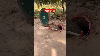 Easy Way To Catch Snake Work 100 snaketrap amazingtrap shorts [upl. by Chancelor135]