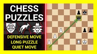 Chess Puzzles to Practice Themes Defensive move Long puzzle Quiet move Learn Chess [upl. by Hgielek]