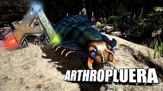 Taming A Arthropluera  Ark Survival Evolved  The Island [upl. by Annailuj248]