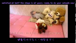 Super Tiny Teacup Teddy Bear Princess Poodle off to Far Far Away Kingdom Dubai [upl. by Nnylaf]