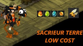 PRÉSENTATION SACRIEUR TERRE LOW COST [upl. by Eachern]