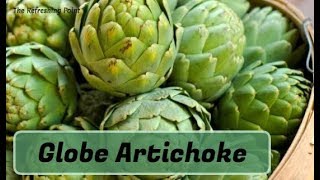 Globe Artichoke Leaf Extract Lowers Cholesterol amp Protects Your Liver Disease Fighting amp AntiAging [upl. by Barbara-Anne]