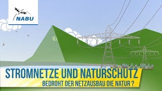 Naturverträglicher Ausbau unseres Stromnetzes  wie geht das [upl. by Oiznun]