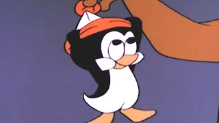 Chilly Willy en Español 🐧San Moritz Blitz  Capitulos completos🐧Dibujos Antiguos  Dibujos Animados [upl. by Calvano]