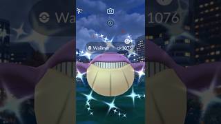 Shiny Wailmer Pokemon GO [upl. by Etnoed]