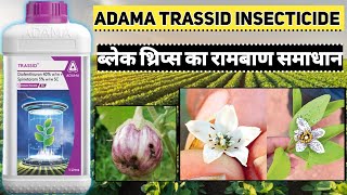 Adama trassid insecticide  Diafenthiuron 40  Spinetoram 5 [upl. by Ahsinad]