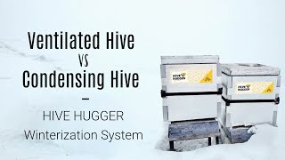 Fall 2024 Vented Hive vs Condensing Hive and Intro to Hive Hugger Insulation System [upl. by Notned842]