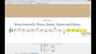 Video 11 Reine Intervalle Prime Quarte Quinte und Oktave [upl. by Greenman957]