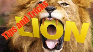 Mac OS X Lion Tips and Tricks [upl. by Robinetta]