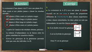 Exercice corrigé génétique formelle [upl. by Akinnor]