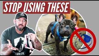 Stop using retractable leashes and harnesses on your dog [upl. by Ahsinel]