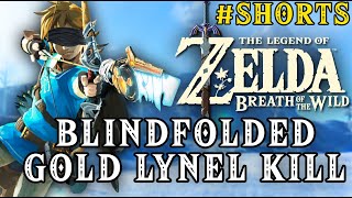 Zelda Breath of the Wild  Blindfolded Golden Lynel Kill [upl. by Janus]