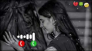 My Best Ringtone 2024Hindi RingtoneNew Song RingtoneMobile Phone Sad RingtoneLove Ringtone [upl. by Leinehtan]