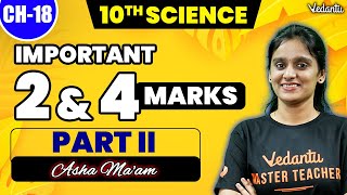 10th Science  CH 18  Important 2 and 4 Mark Questions Part 2  Asha Maam [upl. by Ulphi]