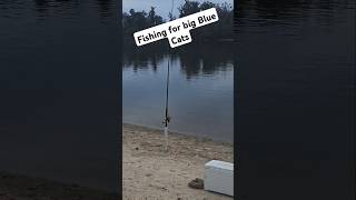 Fishing for big river Blue catfish STAY TUNED [upl. by Denae119]