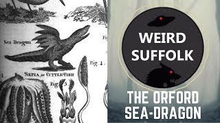 Weird Suffolk The Orford seadragon [upl. by Annoerb]