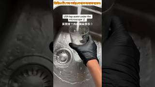 Tap water microscope zoom shorts microscope facts water viralvideos [upl. by Ociram]