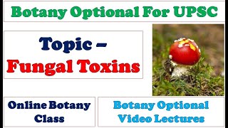 Fungal Toxins Mycotoxins Toxins Produced by Fungi Mycology Microbiology amp Plant Pathology UPSC [upl. by Durtschi67]