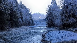 ChilliwackVedder River Report  Dec 7 2016 [upl. by Osrick]