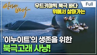 Full 인간과 바다  생존을 위한 바다 사냥에 나서다 알래스카 이누이트 [upl. by Aisilef]