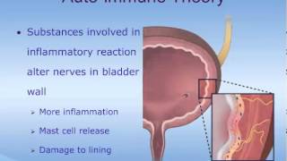 Understanding Interstitial Cystitis IC [upl. by Iluj202]