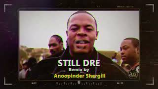 Still Dre Remix [upl. by Ayotnom]