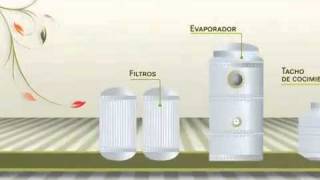 Proceso de Elaboración del Azúcar [upl. by Philippine]