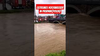 Extremes Hochwasser in PrudnikPolen heavyrain hochwasser polen prudnik viralvideo foryou [upl. by Gove]