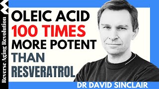 DAVID SINCLAIR “Oleic Acid 100 Times More Potent Than Resveratrol”Dr David Sinclair Interview Clips [upl. by Ingalls]