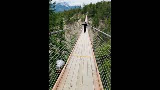 Golden Skybridge British Columbia 🇨🇦 [upl. by Adnohsak700]