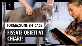 Addestramento CANINO Corretto Imposta Obiettivi Chiari E Allena Con Efficacia – Giorno 2 [upl. by Yde]