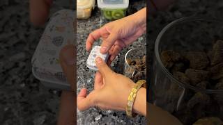 lunchideas tiffin love vlog kidslunchbox [upl. by Tingley]