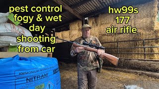 pest control fogy amp wet morning using hw99s 177 amp shooting from car [upl. by Torre872]