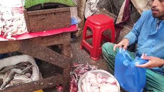 fish market in Lahore Pakistan [upl. by Ahsaz]