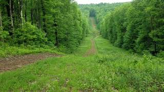 ATV and SXS ride Bruceton Mills area WV [upl. by Michele]