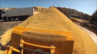 Rice Harvest  Cosecha del arroz  Sueca Valencia 2013 [upl. by Einnek]