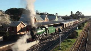 Australian Steam 3642 Heritage Express Riverina Safari August 2013 [upl. by Pelson438]