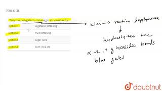 Enzyme polygalacturonase is responsible for [upl. by Assetniuq]