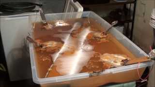 MACHINE SHOP TIPS 146 Part 1 Electrolysis Rust Removal Experiment 2 tubalcain [upl. by Acirederf]