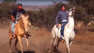 Carreras de Caballos Los Haro Jerez 2016 [upl. by Fakieh]