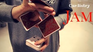 Cardistry Jam Milano 30102016 [upl. by Acsisnarf]