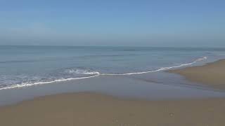 Пляж Схевенинген Гаага Голландия НидерландыScheveningen den Haag Holland [upl. by Liemaj]