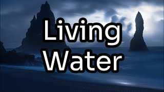 Living Water ft James Thorup  Lyrics 2024 Youth Album [upl. by Anirda545]