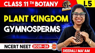 Gymnosperms Characteristics Reproduction and Examples for NEET Biology Plant Kingdom [upl. by Adiazteb]