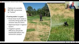 Waterwise Lawn Alternatives Pros and Cons [upl. by Eillime]