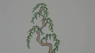 BUNJIN STYE BONSAI [upl. by Shriner]