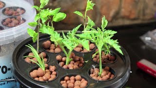 AeroPot Aeroponics System Review  My new Hydroponics Toy [upl. by Prady]