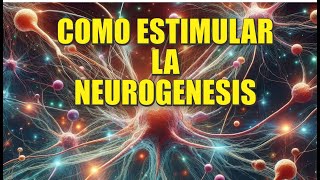 Como estimular la neuro genesis [upl. by Alexandros]