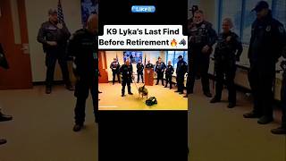 K9 Lykas Last Find Before Retirement 👈❤️ [upl. by Joselyn86]